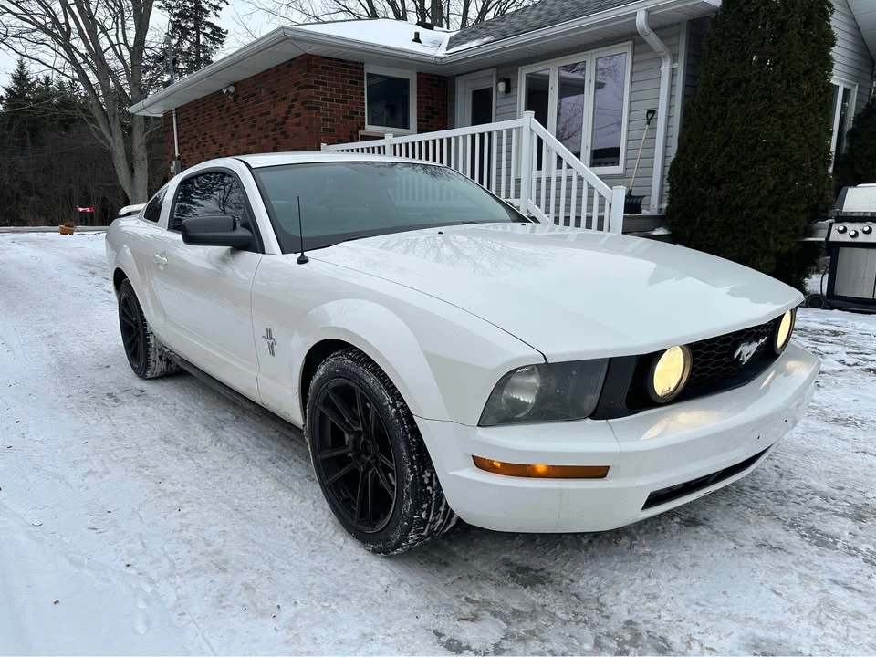 2006 Ford S197 Mustang - Image 3 of 10