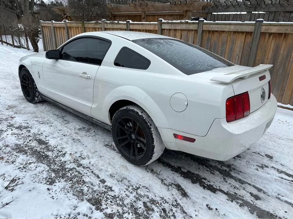 2006 Ford S197 Mustang - Image 6 of 10