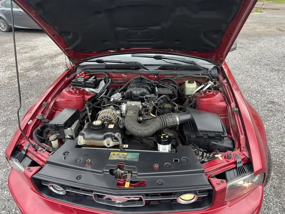 2006 Ford S197 Mustang - Image 14 of 20