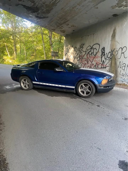 2006 Ford S197 Mustang - Image 3 of 15