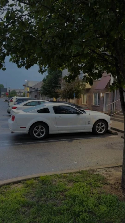 2006 Ford S197 Mustang - Image 2 of 6