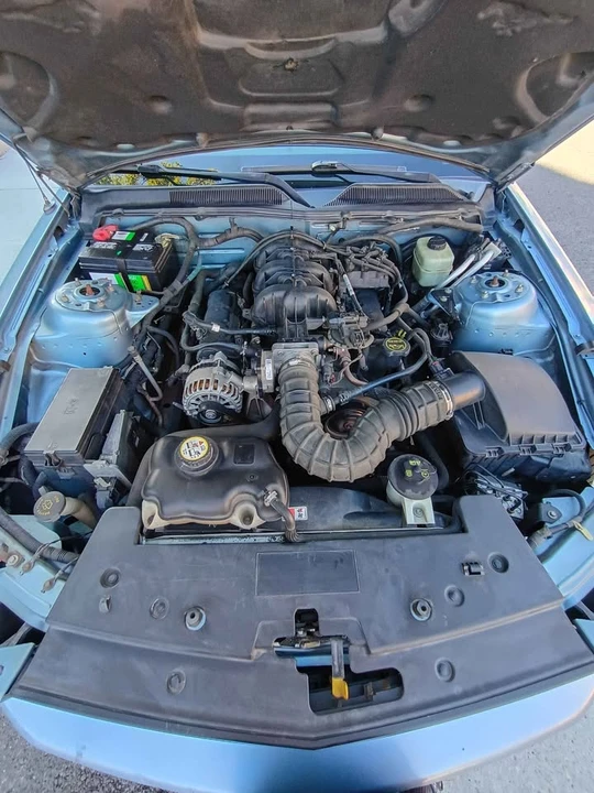 2006 Ford S197 Mustang - Image 13 of 13