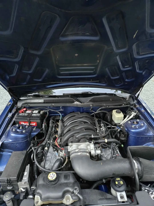 2006 Ford S197 Mustang - Image 5 of 10