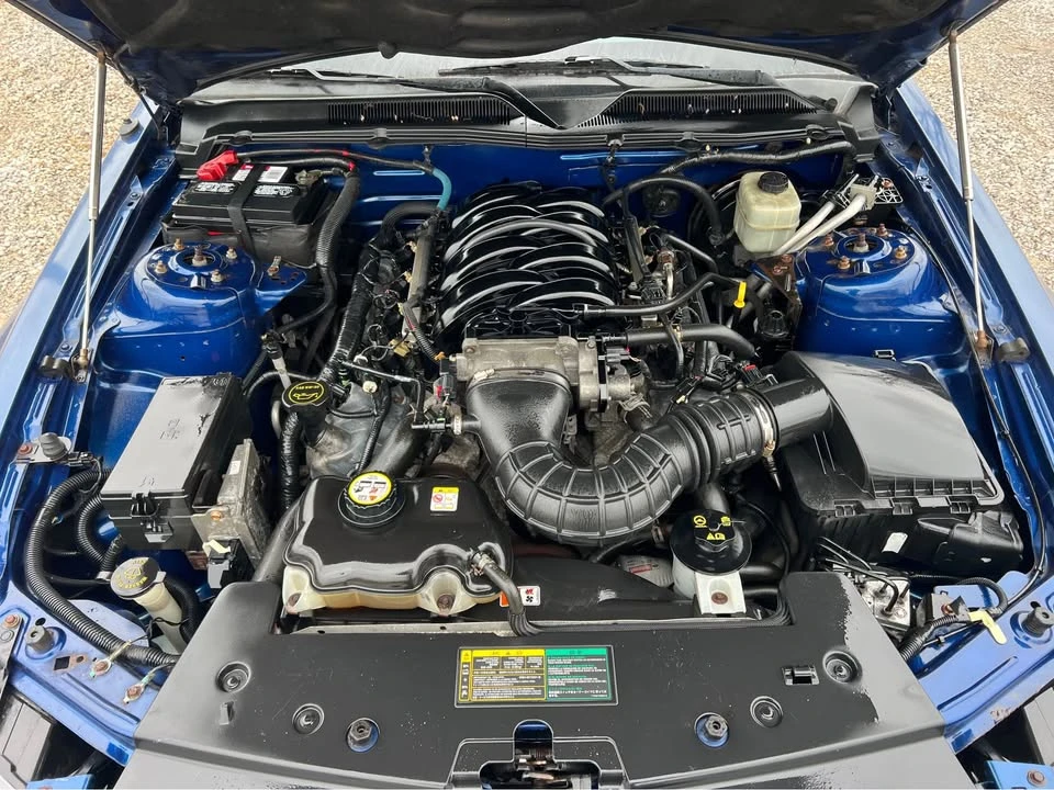 2006 Ford S197 Mustang - Image 16 of 16
