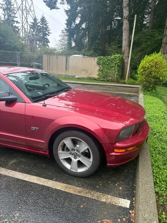 2006 Ford S197 Mustang - Image 8 of 14