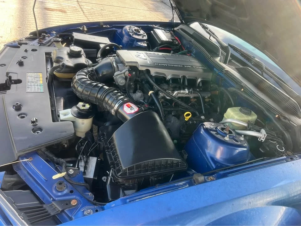 2006 Ford S197 Mustang - Image 14 of 16