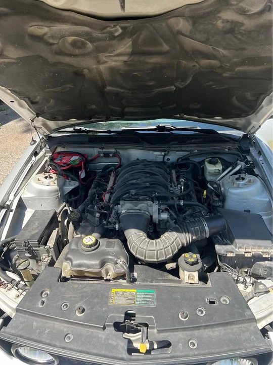 2006 Ford S197 Mustang - Image 14 of 16