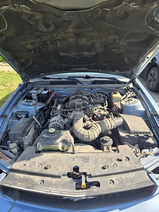 2006 Ford S197 Mustang - Image 7 of 14