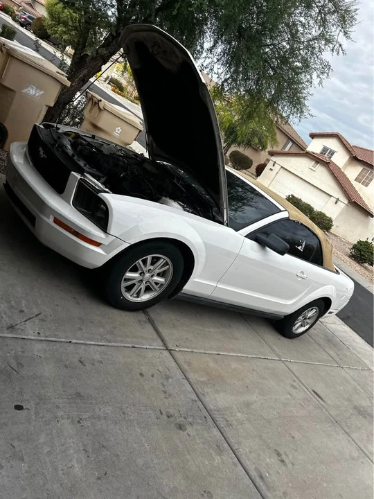 2006 Ford S197 Mustang - Image 13 of 13
