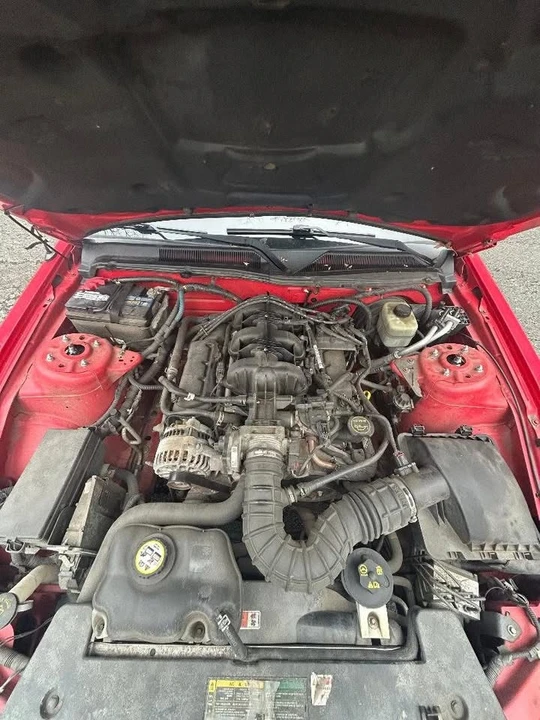 2006 Ford S197 Mustang - Image 11 of 13