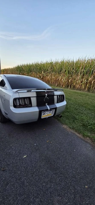2006 Ford S197 Mustang - Image 9 of 16