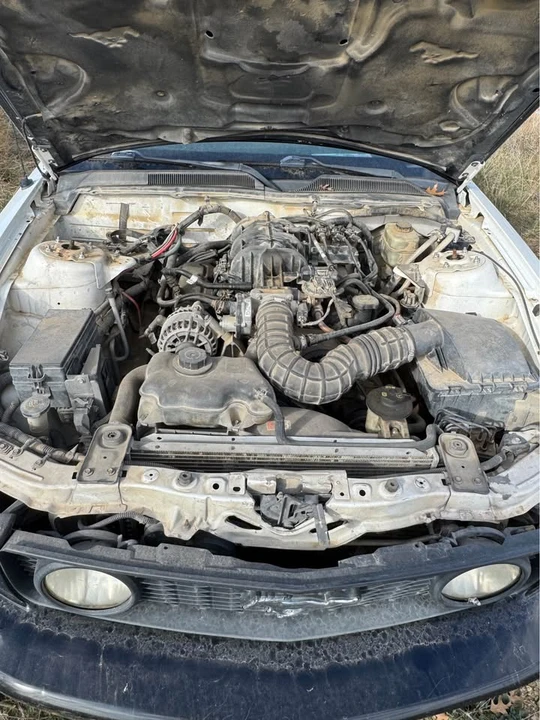 2006 Ford S197 Mustang - Image 10 of 10