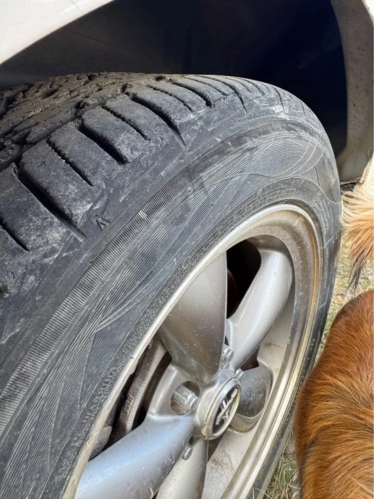 2006 Ford S197 Mustang - Image 8 of 10