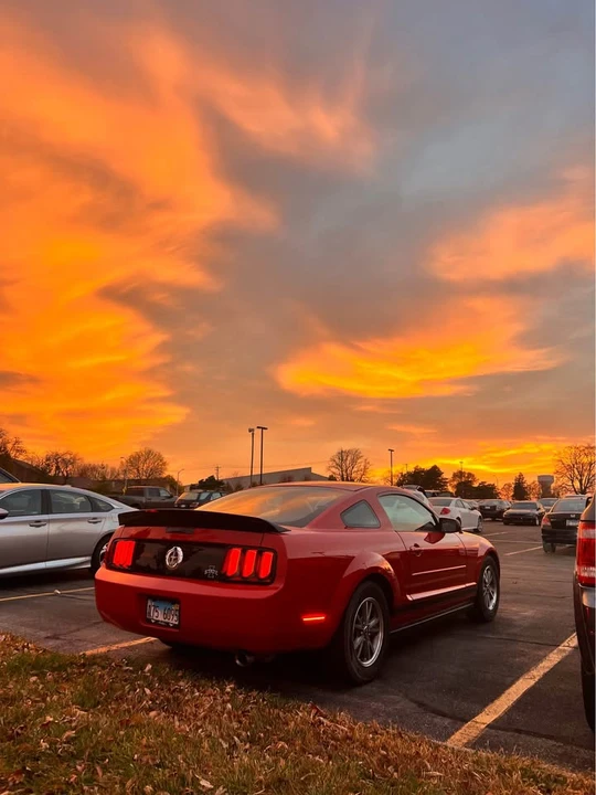 2006 Ford S197 Mustang - Image 4 of 11