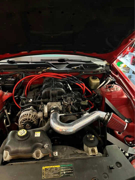 2006 Ford S197 Mustang - Image 8 of 11