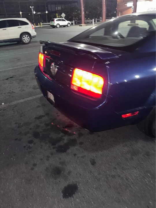 2006 Ford S197 Mustang - Image 4 of 20