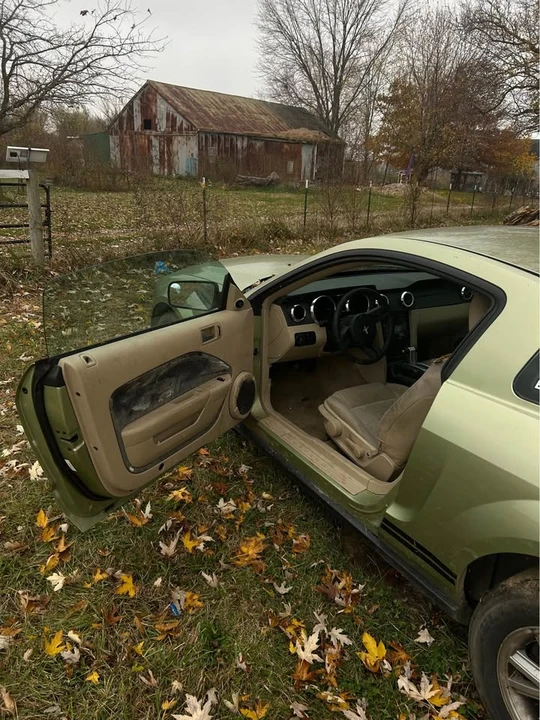 2006 Ford S197 Mustang - Image 3 of 11