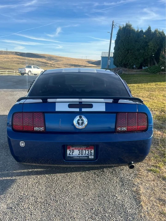 2006 Ford S197 Mustang - Image 2 of 10