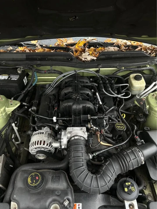 2006 Ford S197 Mustang - Image 8 of 11