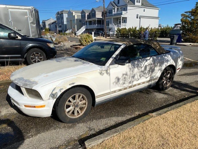 2006 Ford S197 Mustang - Image 12 of 13