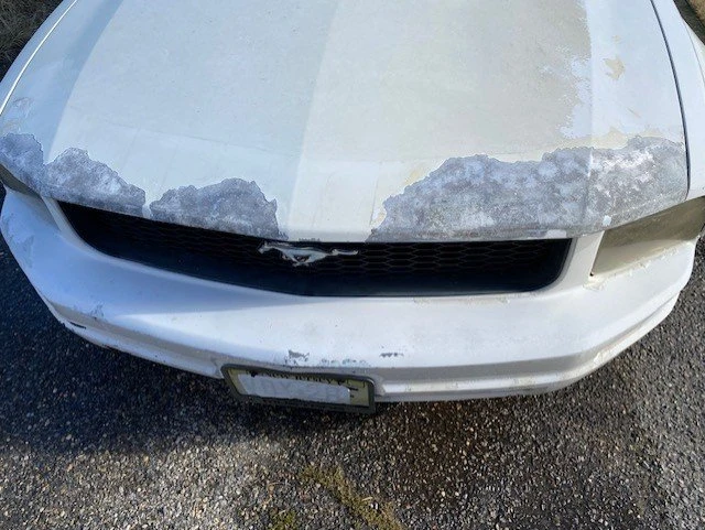 2006 Ford S197 Mustang - Image 13 of 13