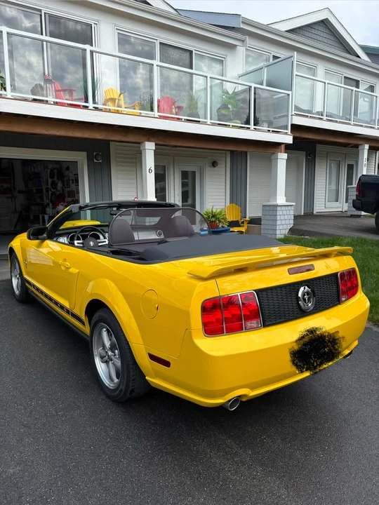 2006 Ford S197 Mustang - Image 6 of 13