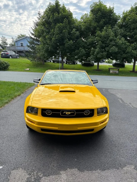 2006 Ford S197 Mustang - Image 2 of 13