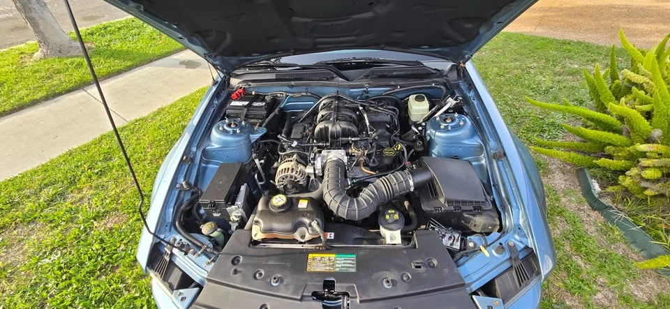 2006 Ford S197 Mustang - Image 11 of 19