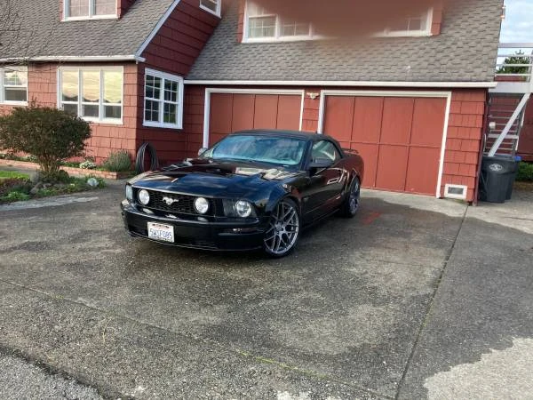 2006 Ford S197 Mustang - Image 5 of 13