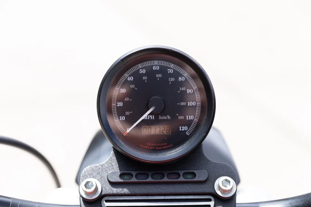2006 Harley-Davidson Sportster Rubber Mount - Image 29 of 30