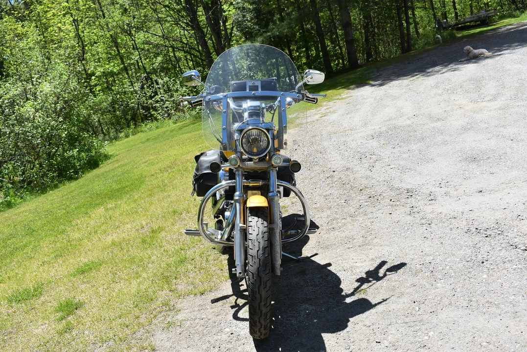 2006 Harley-Davidson Sportster Rubber Mount - Image 4 of 31