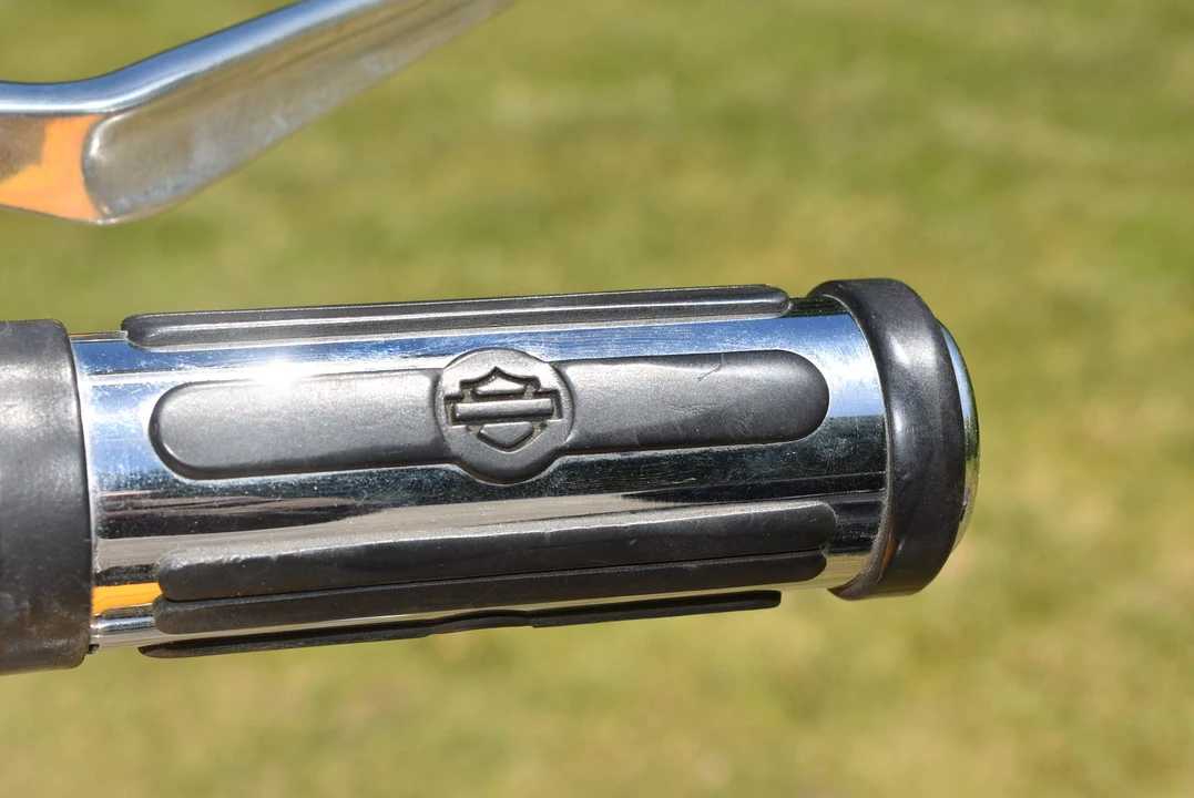 2006 Harley-Davidson Sportster Rubber Mount - Image 21 of 31