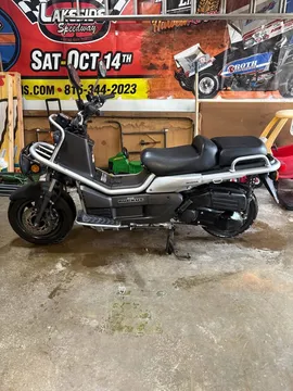 2006 Honda Big Ruckus