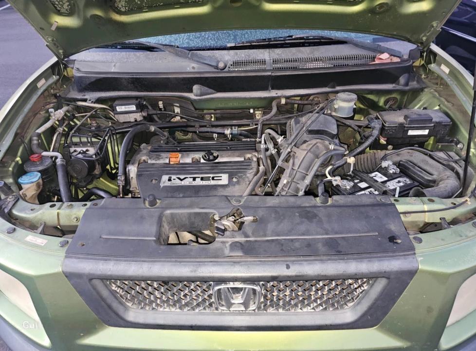 2006 Honda Element - Image 7 of 7