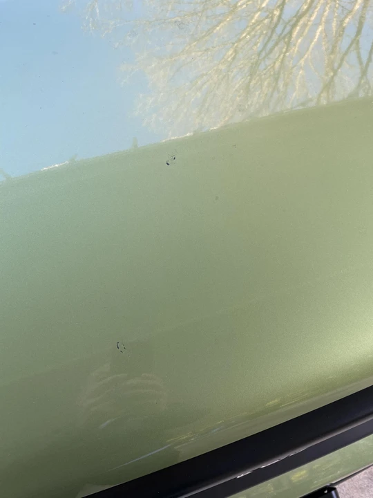 2006 Honda Element - Image 24 of 31