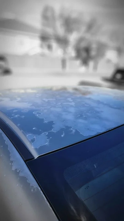 2006 Honda Civic 8th Gen - Image 9 of 10