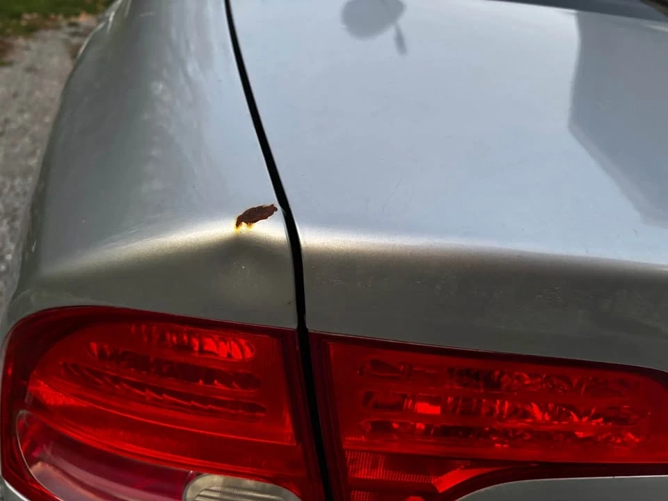 2006 Honda Civic 8th Gen - Image 7 of 12
