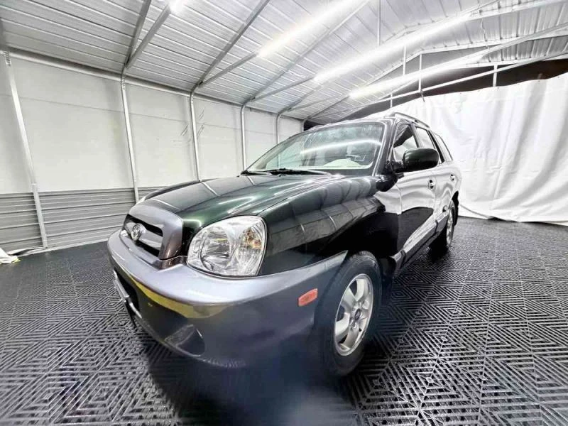 2006 Hyundai Santa Fe - Image 10 of 12