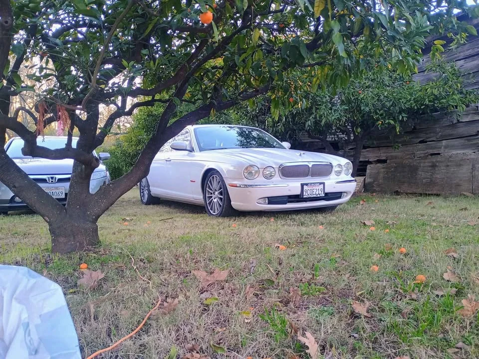 2006 Jaguar XJ - Image 6 of 6