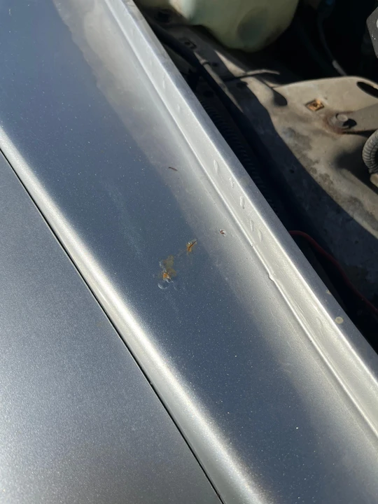 2006 Jeep TJ Wrangler - Image 30 of 31