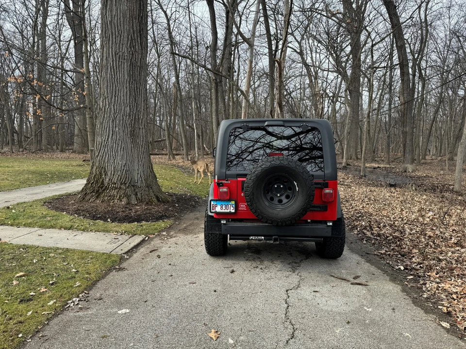 2006 Jeep TJ Wrangler - Image 5 of 31