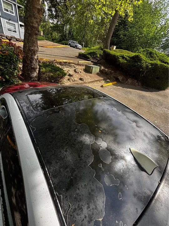 2006 Lexus ES 4th Gen - Image 6 of 15
