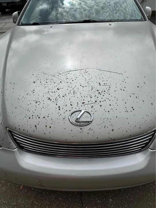 2006 Lexus ES 4th Gen - Image 7 of 8
