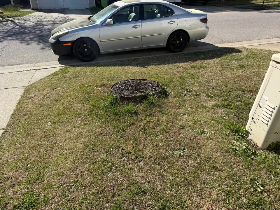 2006 Lexus ES 4th Gen - Image 3 of 6