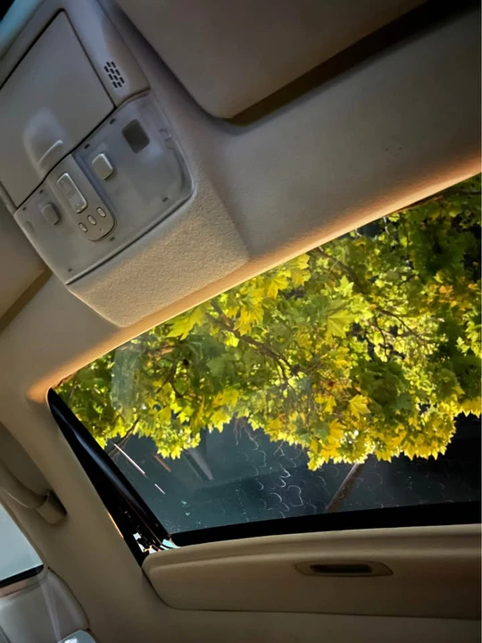 2006 Lexus ES 4th Gen - Image 8 of 10