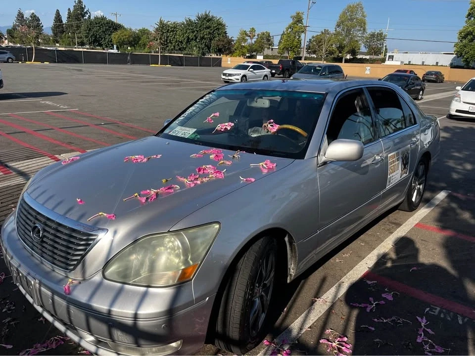 2006 Lexus LS 4th Gen - Image 6 of 16