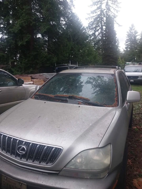 2006 Lexus RX 2nd Gen - Image 4 of 8