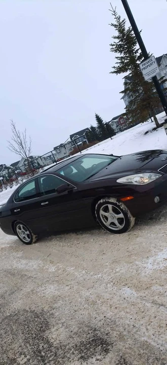 2006 Lexus ES 3rd Gen - Image 7 of 20