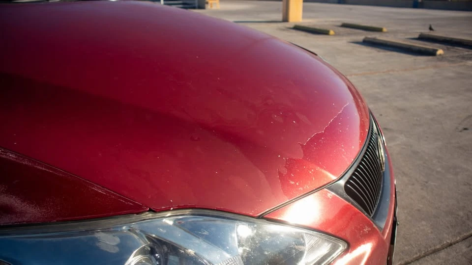2006 Lexus IS 2nd Gen - Image 12 of 16