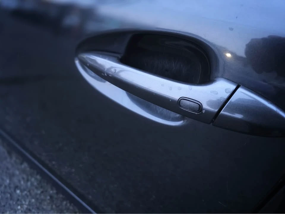 2006 Lexus IS 2nd Gen - Image 19 of 20